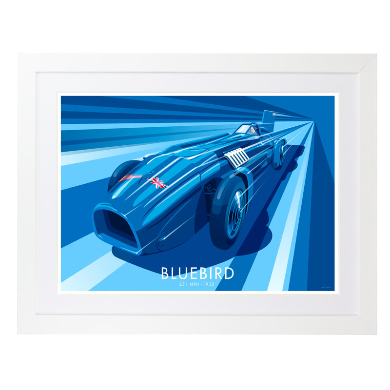 Bluebird by Stephen Millership - No Frame Print, 34cm H x 40cm W x 1cm D