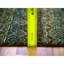 Tapis unique 10 pi Zendra