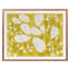 Golden Spirea Print by Kate Roebuck-227653270-227653273
