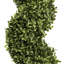 125cm Plant