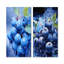 Celestial Cyan Blueberry Bliss Fruit - Fruits Wall Decor Set Of 2-1579907458-1579907457