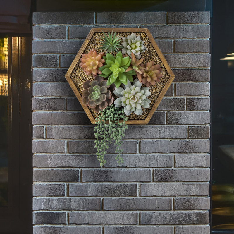 Sculptures Faux Succulent Wall Décor 