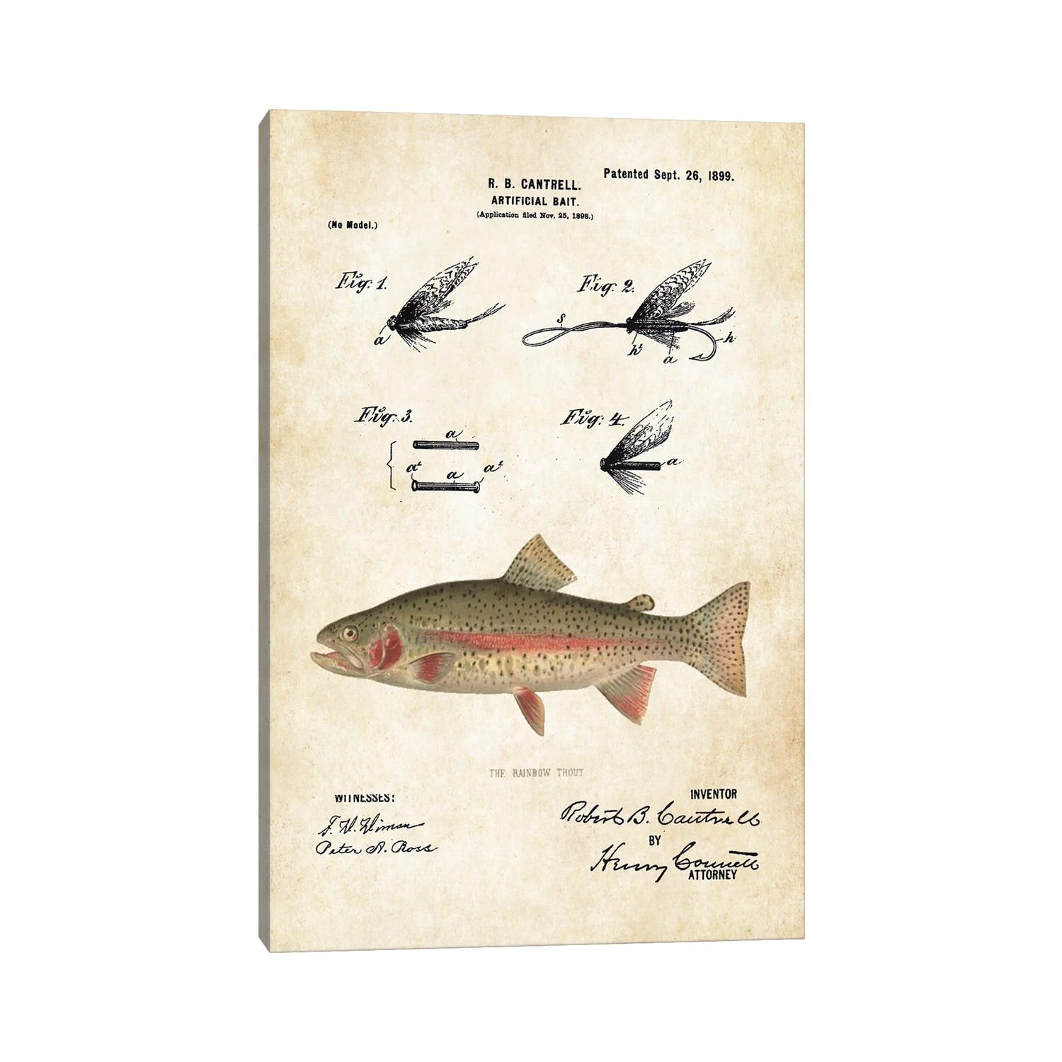 Rainbow Trout Fishing Lure by Patent77 - Wrapped Canvas Graphic Art East Urban Home Size: 18 H x 12 W x 1.5 D