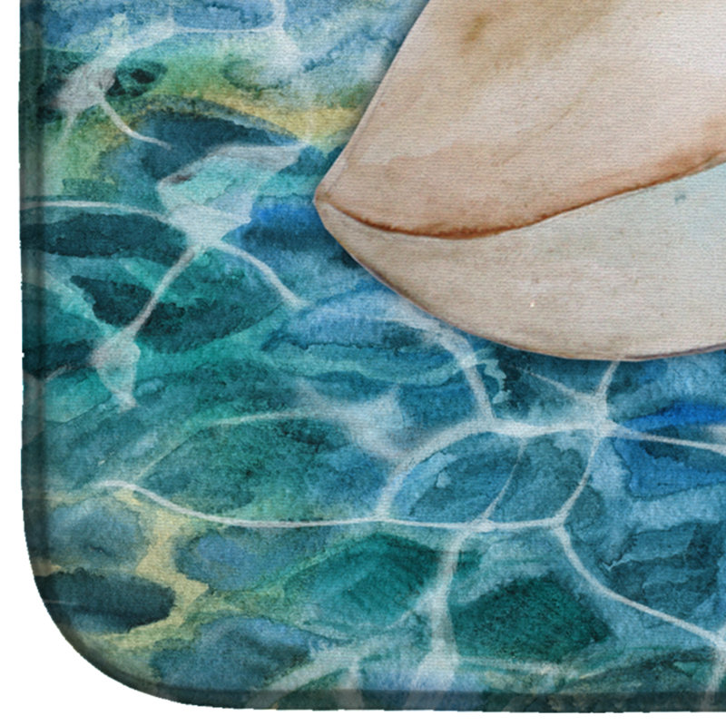 Tapis et séchoir à eau sea coquillage