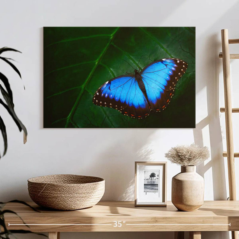 Joli papillon bleu