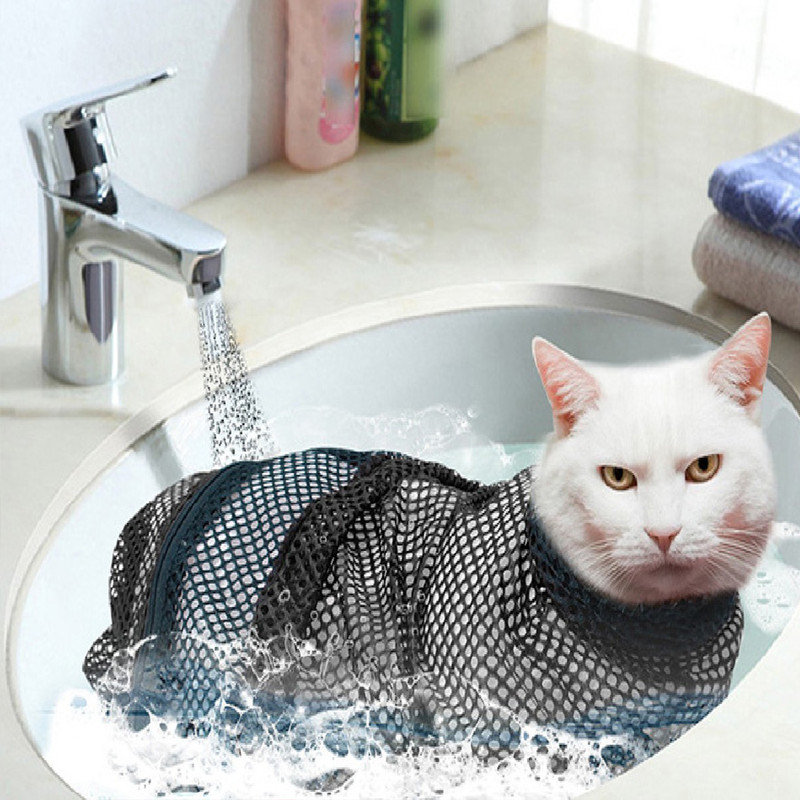 Accessoires de contention pour chat multifonctionnel, Rouge