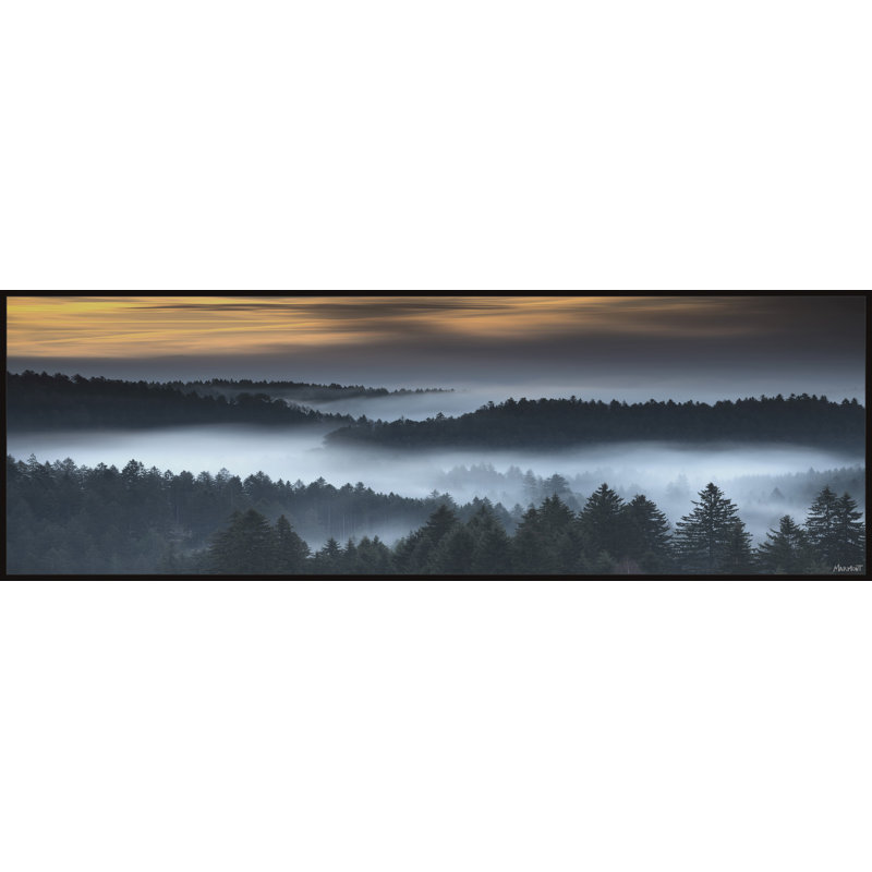 «Morning on the River» par Marmont Hill - reproduction de cadre flottant sur toile, L 30 po x H 10 po