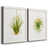 White Framed Canvas