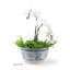 Classic Porcelain China Decorative Bowl