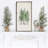 Watercolor Coniferous-792443976