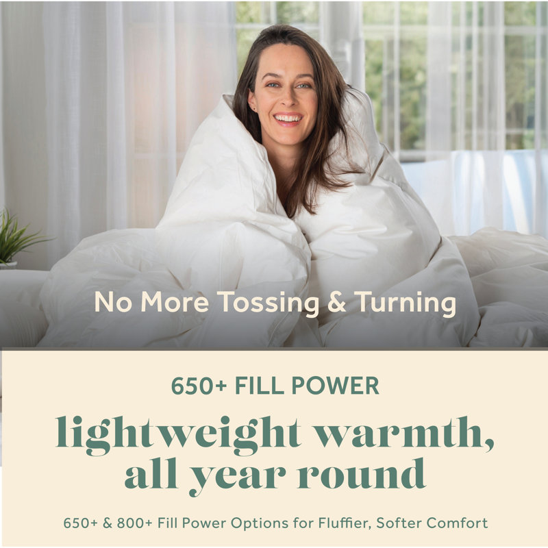 Goose Down Comforter 100% Egyptian-Quality Cotton 600 Thread Count Duvet Insert with Corner Tabs, Twin