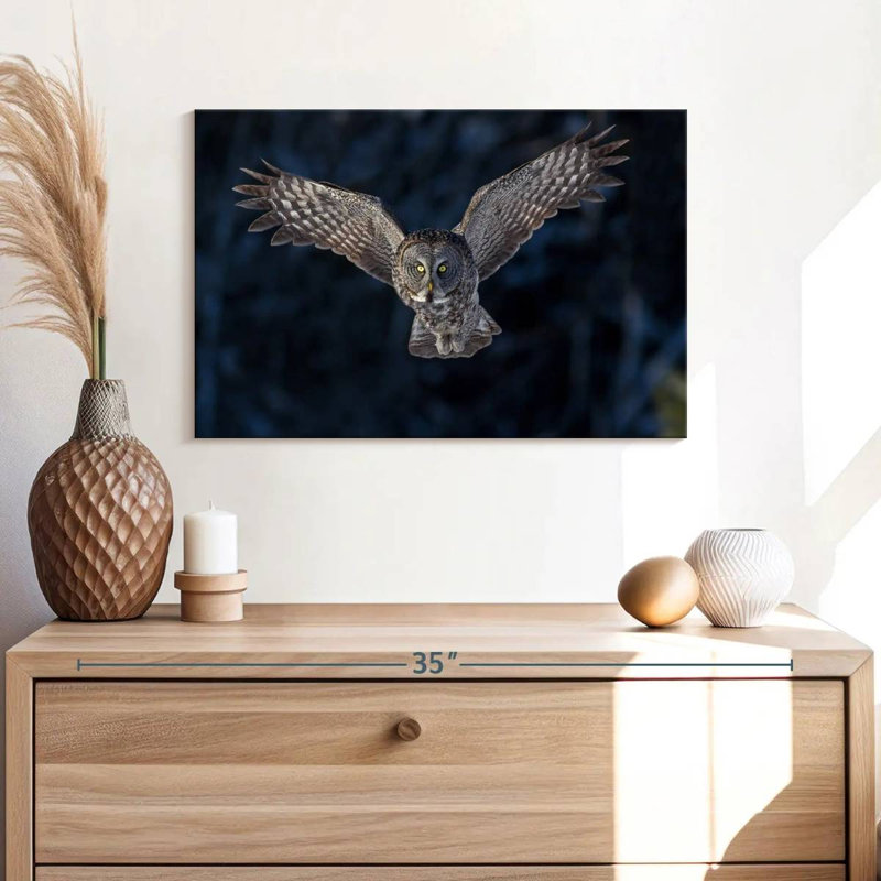 Flying Gray Owl, 16" H x 24" W