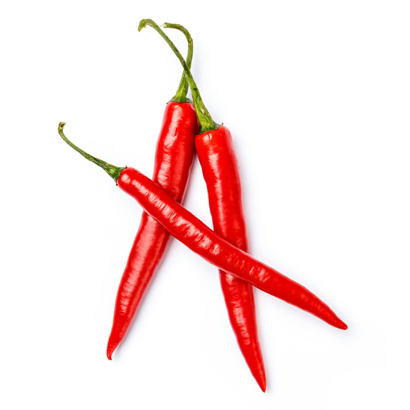 Bernardina Chilli Pepper isolé par - Photographie sur toile tendue, H 12 po x l 12 po