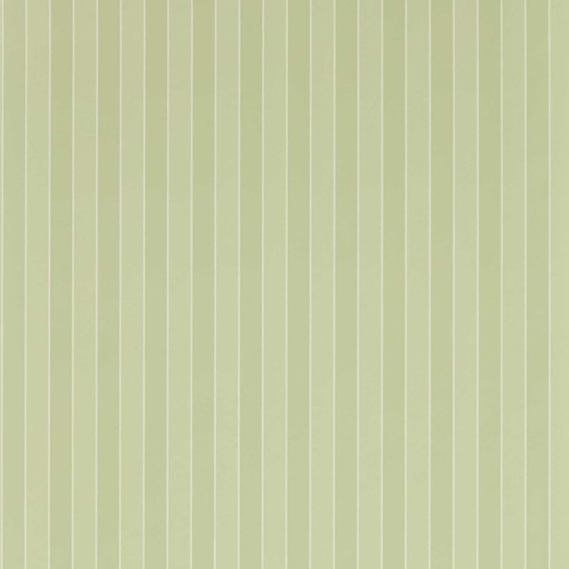 Semper Stripe, Pale Evergreen