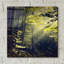 «Being There Revisité» par Dirk Wustengen-548767893
