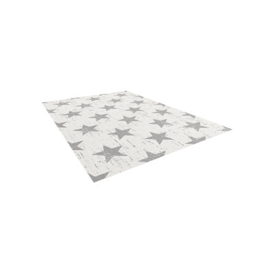 Ireles Flatweave Indoor/Outdoor White/Grey Rug