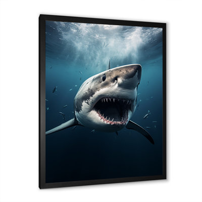 Requin bleu apex photo sur toile