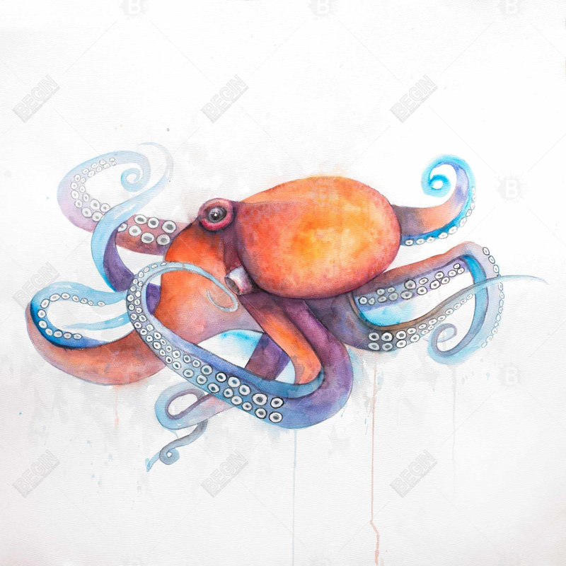 «Colorful Octopus Profile» sur toile