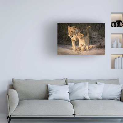 Art sur toile «bolologic heather bonadio»