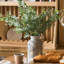 Tige de eucalyptus rustique-119080773