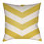 Housse et insert de coussin carré extérieur Litchfield Chevon-26961333-26961331