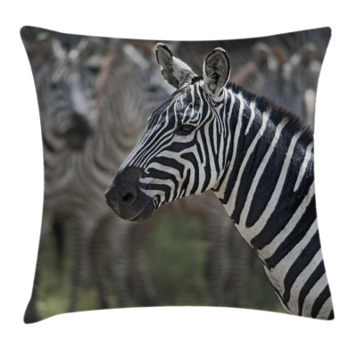 Outdoor Pillow Cover