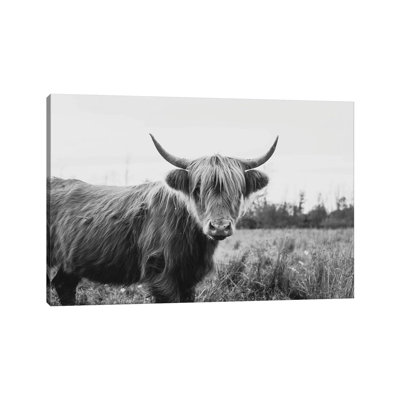 Furry Highland Cow Black And White by Chelsea Victoria - Wrapped Canvas Print