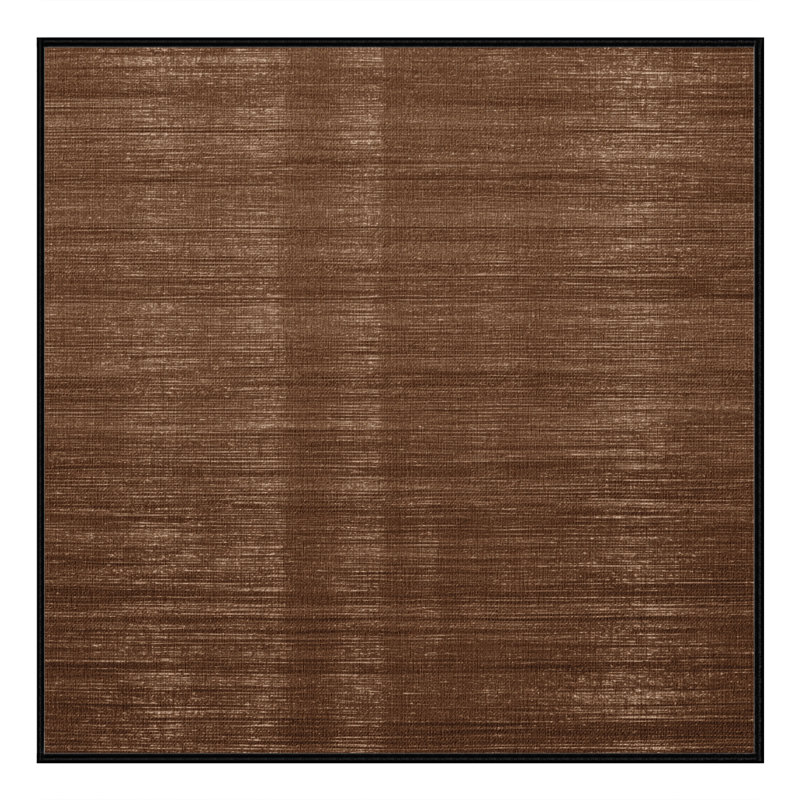 Machine Washable Solid Brown Area Rug, Square 8'