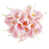 Coral Pink is out of stock selected