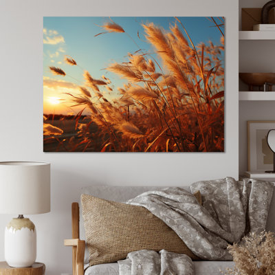 " Golden Grass Field At Sunrise "
