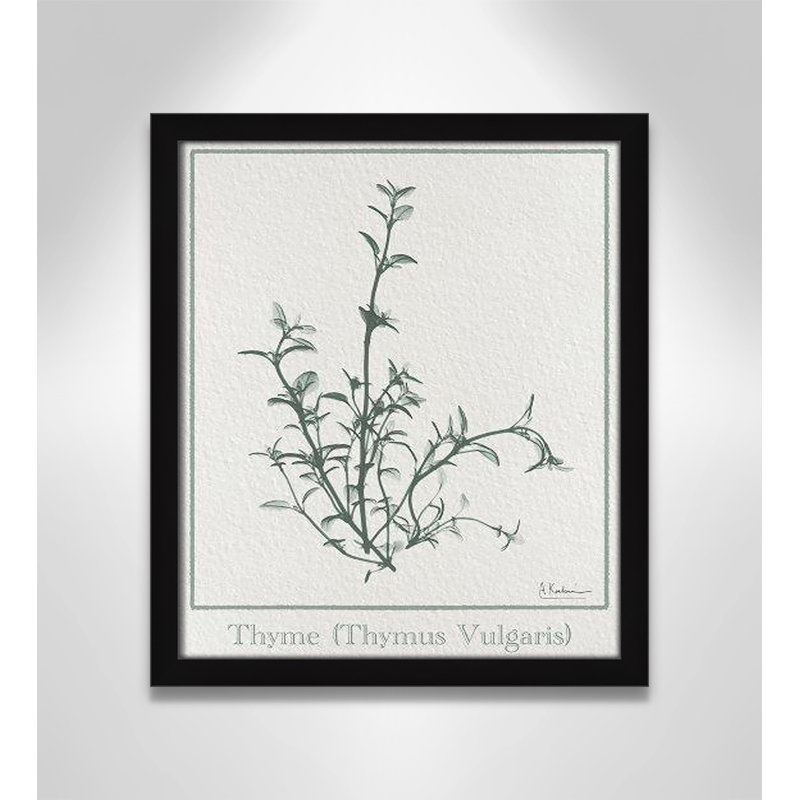 «Jeanette Thymus Vulgaris», reproduction d'art encadrée sur papier par Albert Koetsier, H 15 po x l 13 po x P 1,25 po