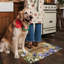 Multicolore - tapis de porte Spring Hummingbird