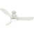 Blanc est en rupture de stock