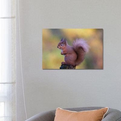 Grumpy 1 Piece Wrapped Canvas Wall Art