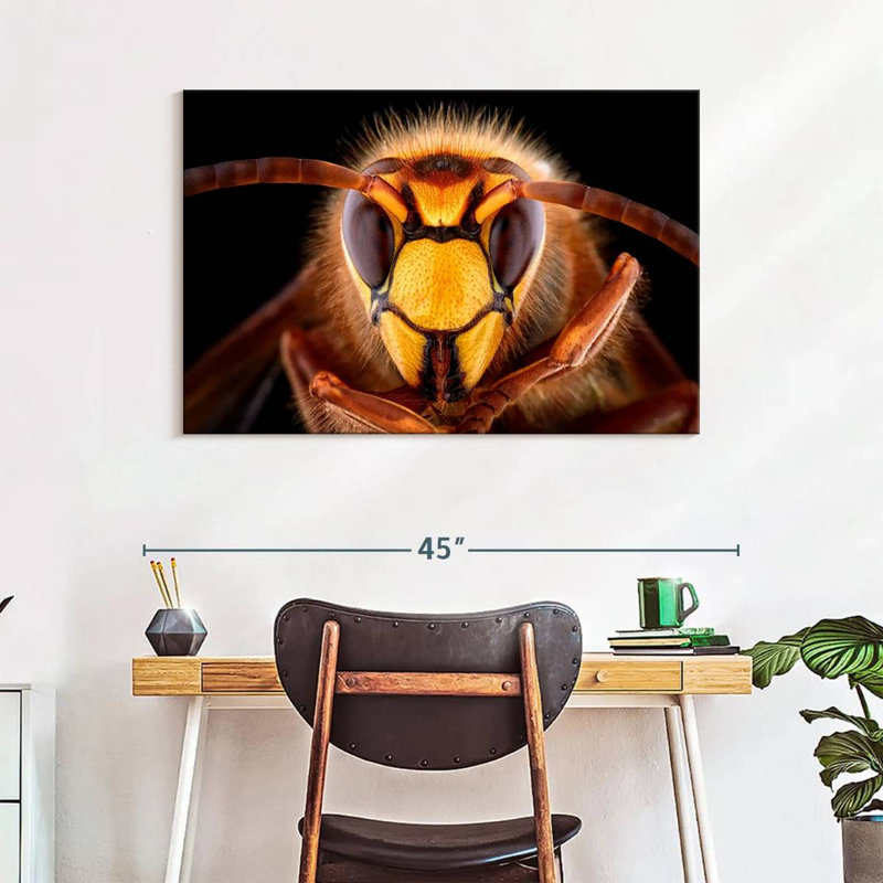 Brampt European Hornet Head