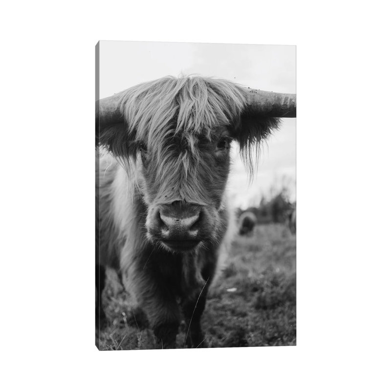 Highland Ghost par Chelsea Victoria - photographie sur toile tendue, H 40 po x l 26 po x P 1,5 po