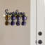 Sunglasses Wall Mounted Jewellery Holder