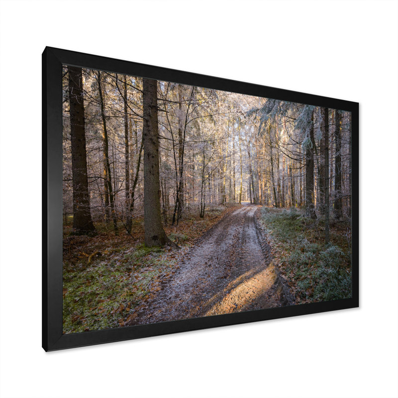 Road Thorugh Winter Forest Trees - reproduction d'art sur toile encadrée, Cadre noir, H 24 po x l 36 po x P 1 po