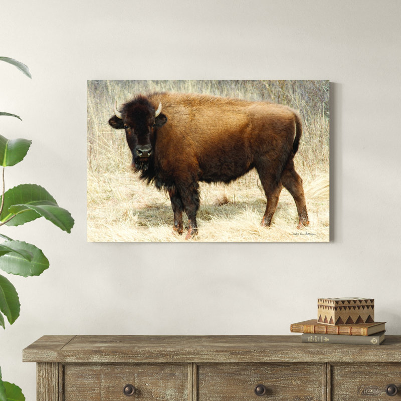 «American Bison I» par Debra Van Swearingen - photographie sur toile tendue, H 24 po x l 36 po x P 1,25 po