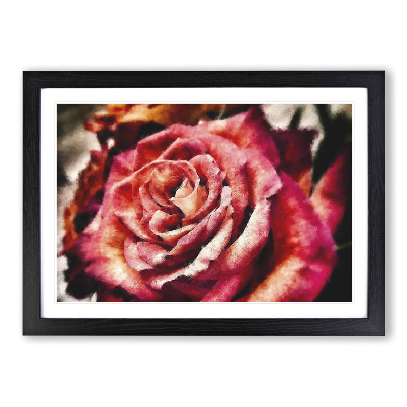 Pink Rose Flower Vol.4 - Framed Print, 48cm H x 65cm W x 2cm D, Black Framed