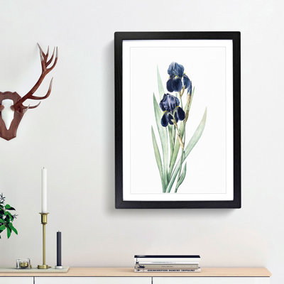 German Iris Flowers by Pierre-Joseph Redoute - Picture Frame Painting Print