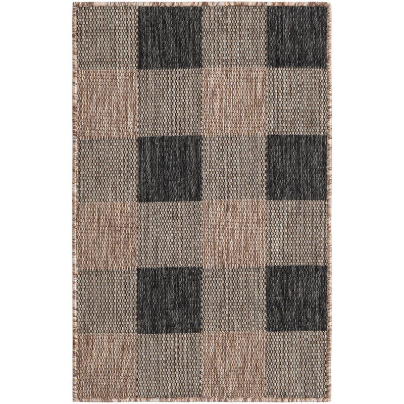 Tapis intérieur / extérieur Borrego , Rectangle 2 pi x 3 pi 1 po