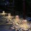 Drolet LED Outdoor Hanging Lantern