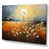 Wrapped Canvas