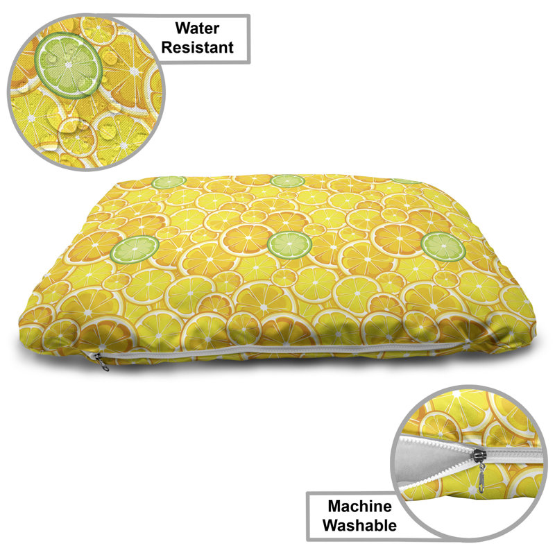 Lit pour animal de compagnie jaune, citron, citron vert, citron, agrumes, cercles ronds, petits et grands, coussin résistant à la mastication pour les chiens et les chats avec housse amovible, 24 po x 39 po, jaune, blanc et vert