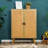 Alisz Accent Chest