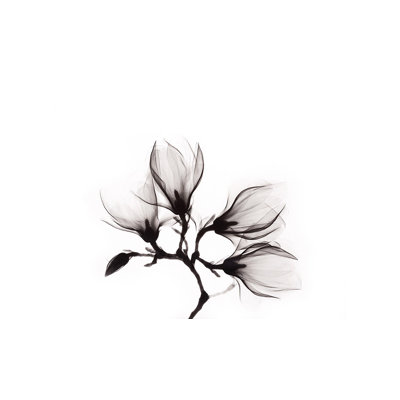 Art Of Nature 014 - No Frame Print on Glass