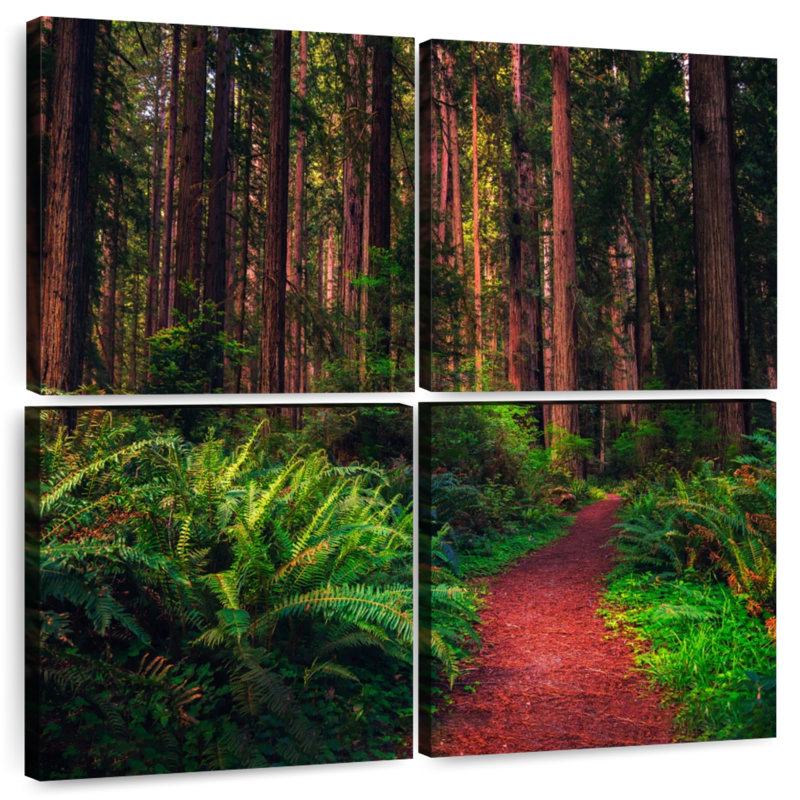 Alvord Redwood Forest Trail
