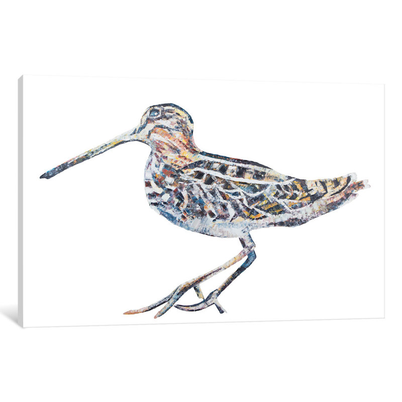 « timberdoodle », reproduction sur toile, H 18 po x l 26 po x P 1,5 po