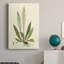 Curtis Ferns III - peinture sur toile tendue-858586995